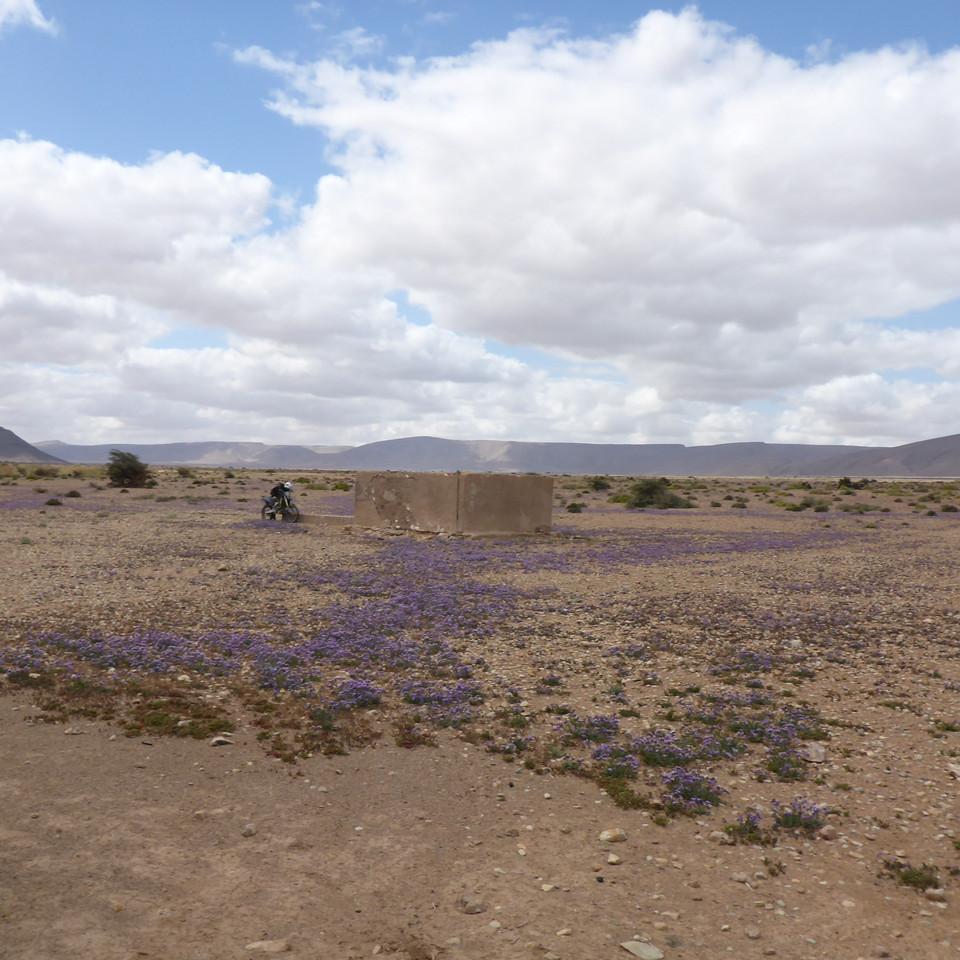 P1020633.JPG