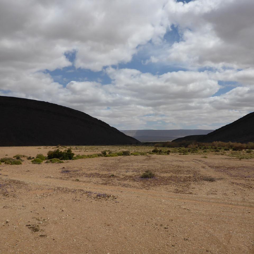 P1020637.JPG