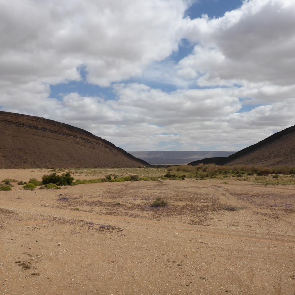 P1020639.JPG