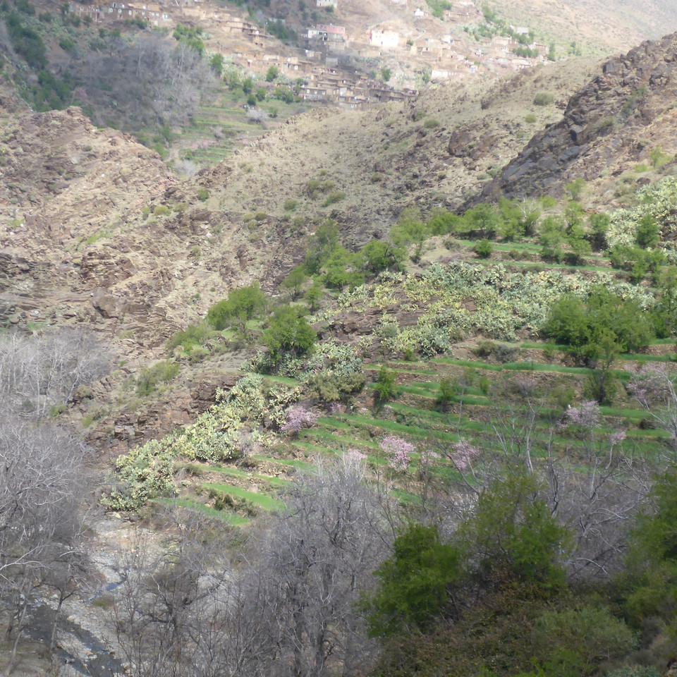 P1020757.JPG