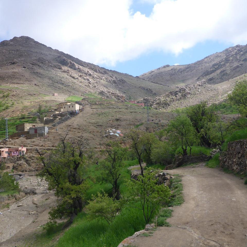 P1020775.JPG