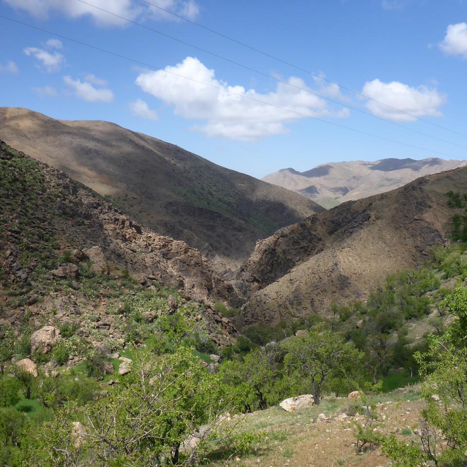 P1020776.JPG