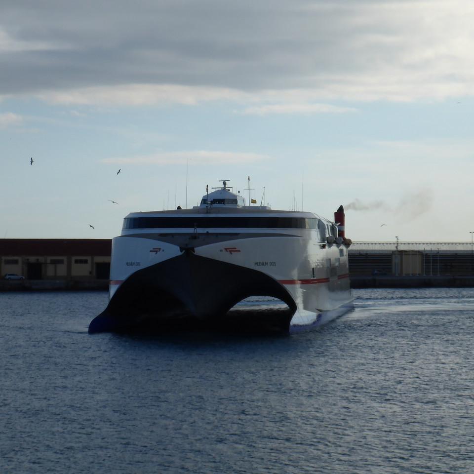 P1020782.JPG