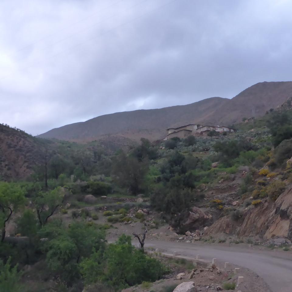 P1020710.JPG