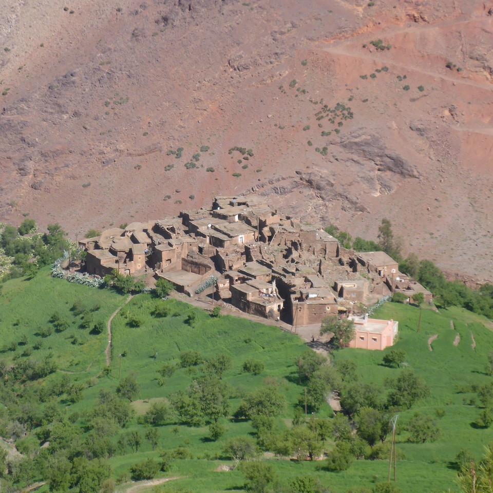 P1020721.JPG