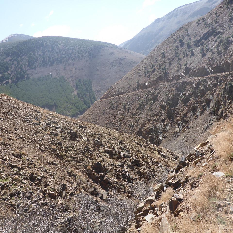 P1020730.JPG
