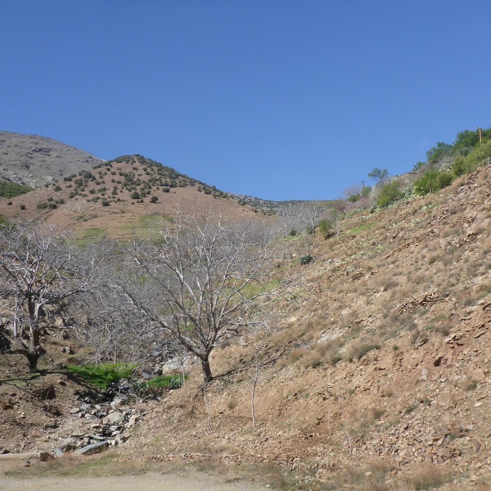 P1020734.JPG