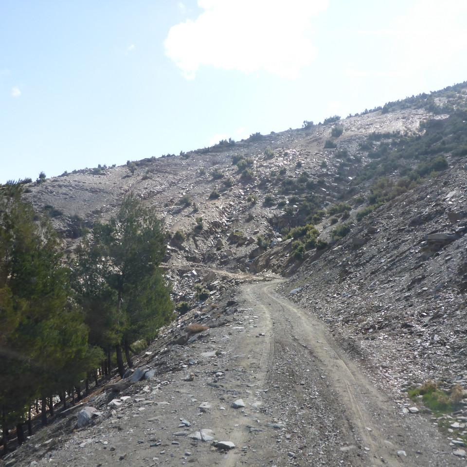 P1020735.JPG
