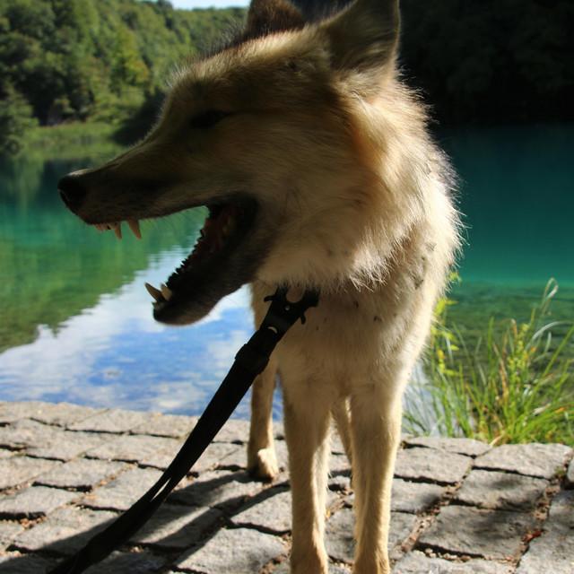IMG_20200901_161334.jpg