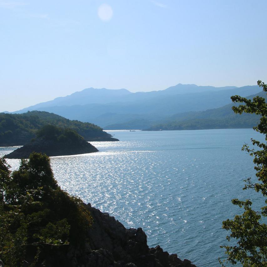 IMG_20200908_094133.jpg