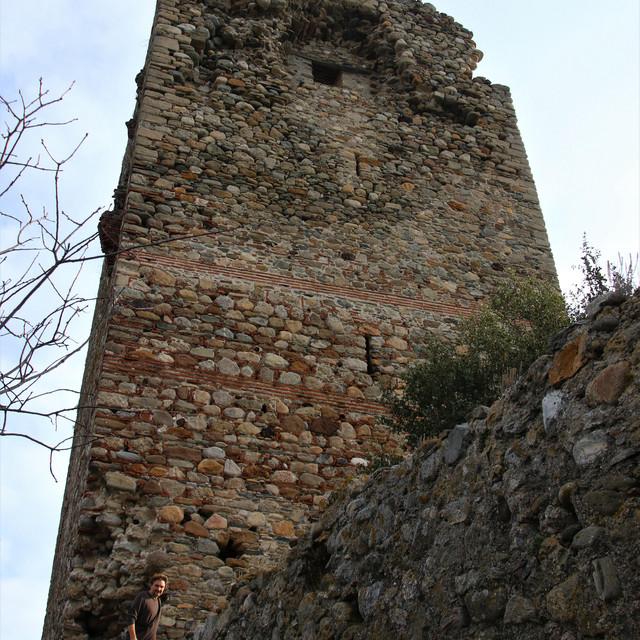 IMG_20201227_112337.jpg