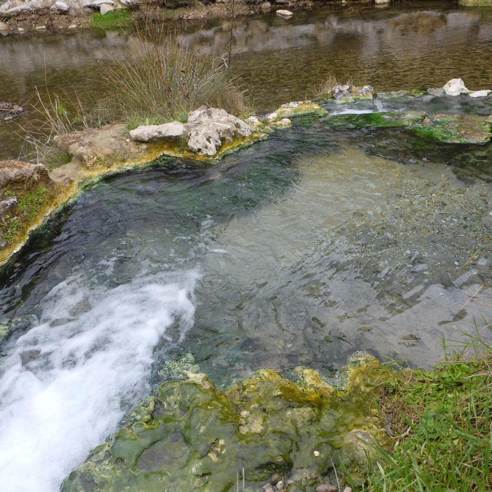 IMG_20201228_124428.jpg