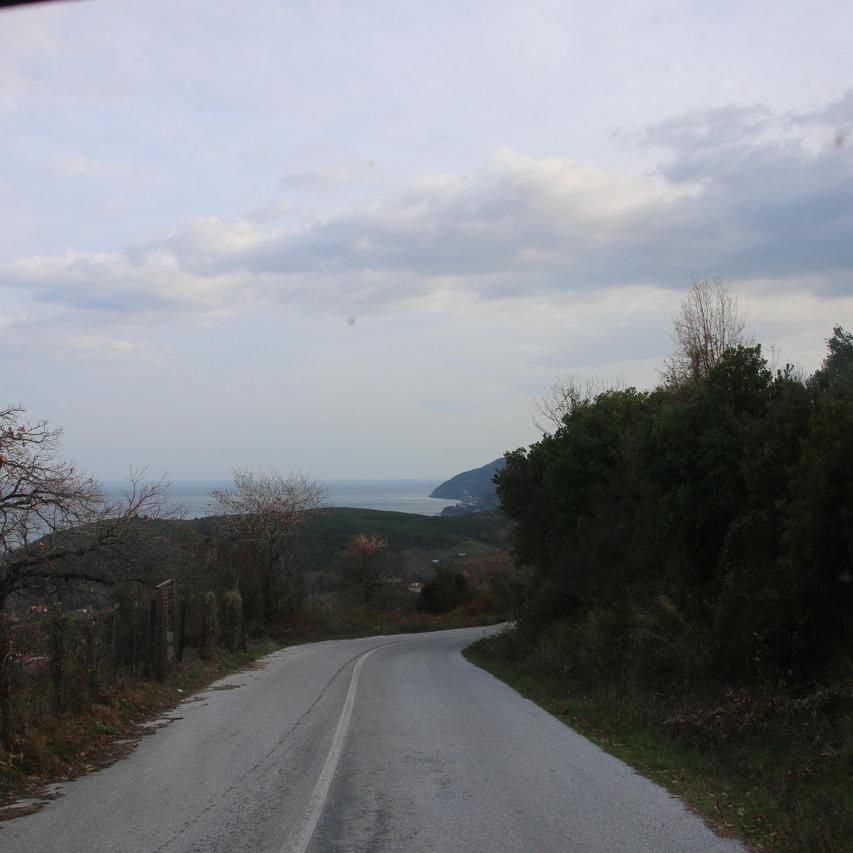 IMG_20210108_152315.jpg