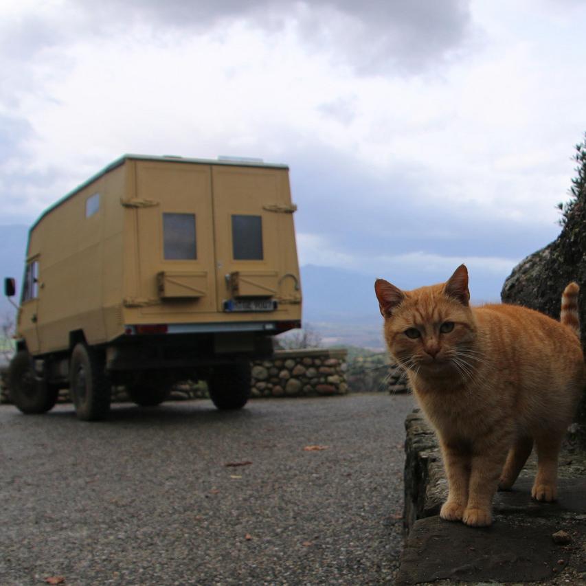 IMG_20210109_140918.jpg