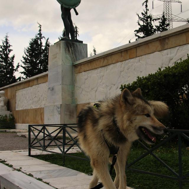 IMG_20210111_151418.jpg