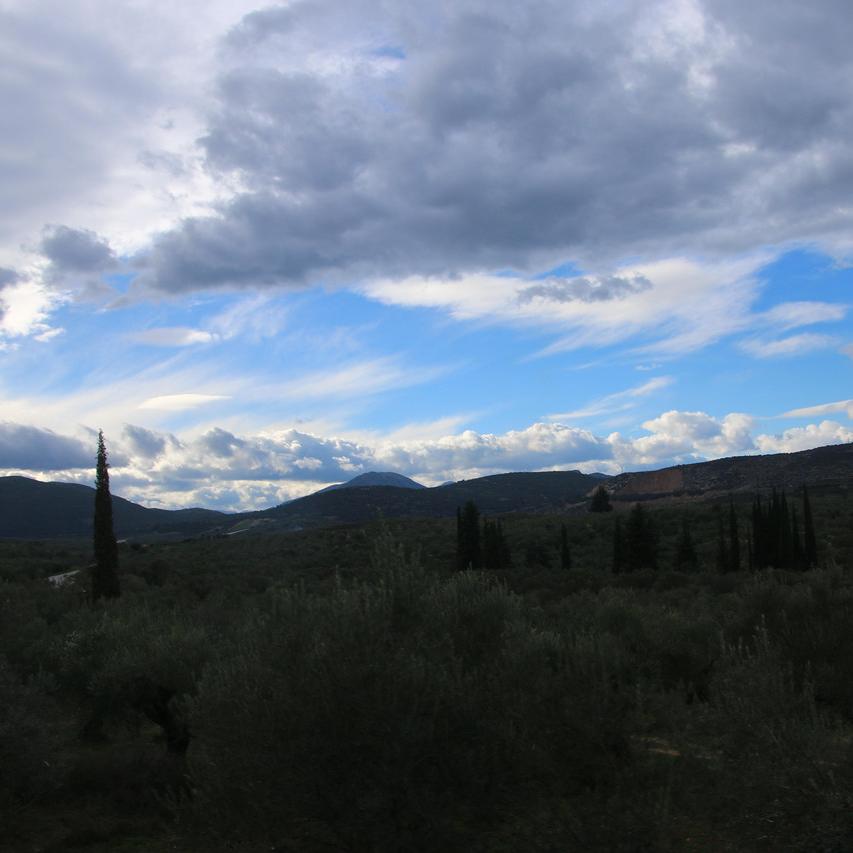 IMG_20210113_150344.jpg