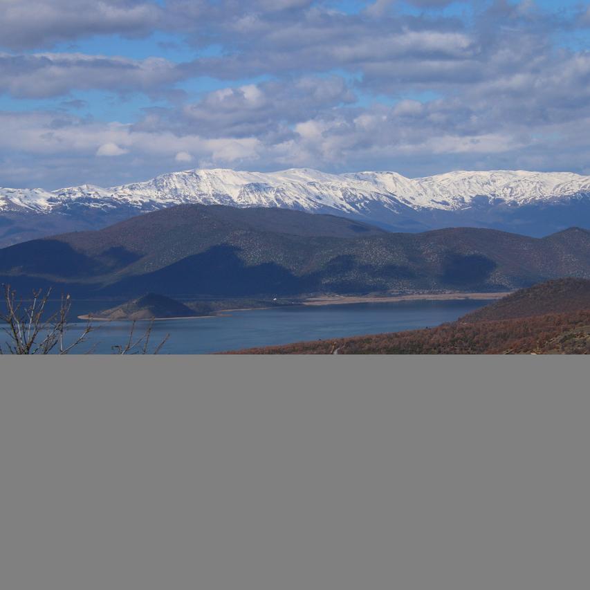 IMG_20210314_113401.jpg