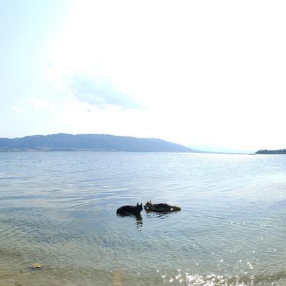 IMG_20210825_163634.jpg