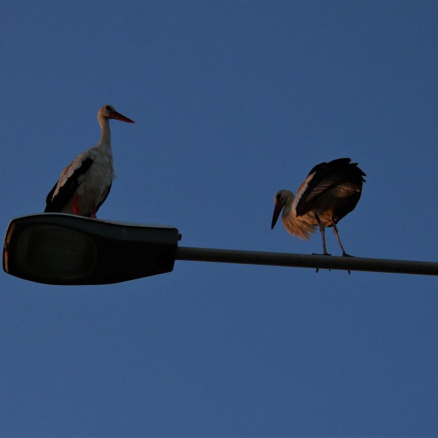 IMG_20210830_183546.jpg