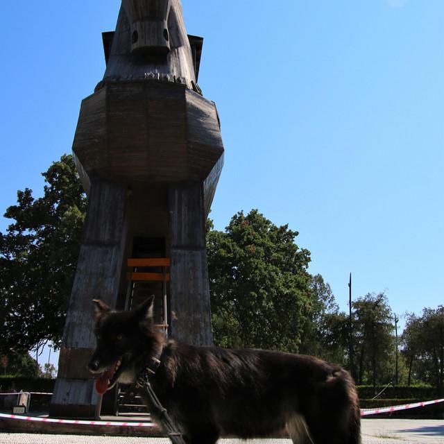 IMG_20210901_135634.jpg