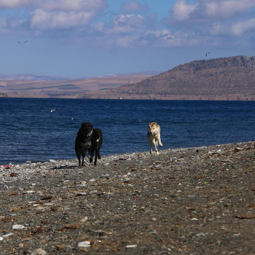 IMG_20211021_104626.jpg