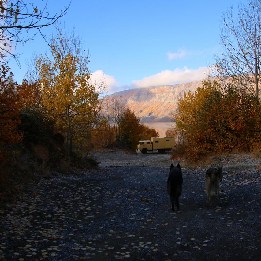 IMG_20211022_080414.jpg