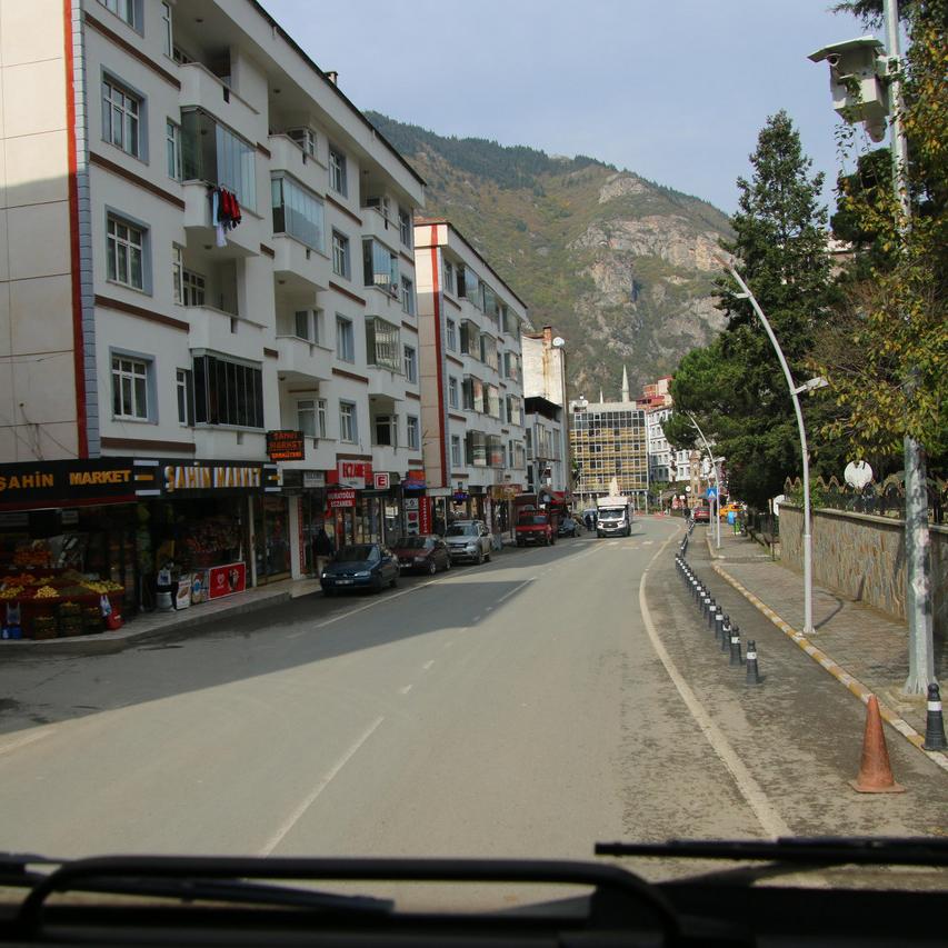 IMG_20211031_115300.jpg