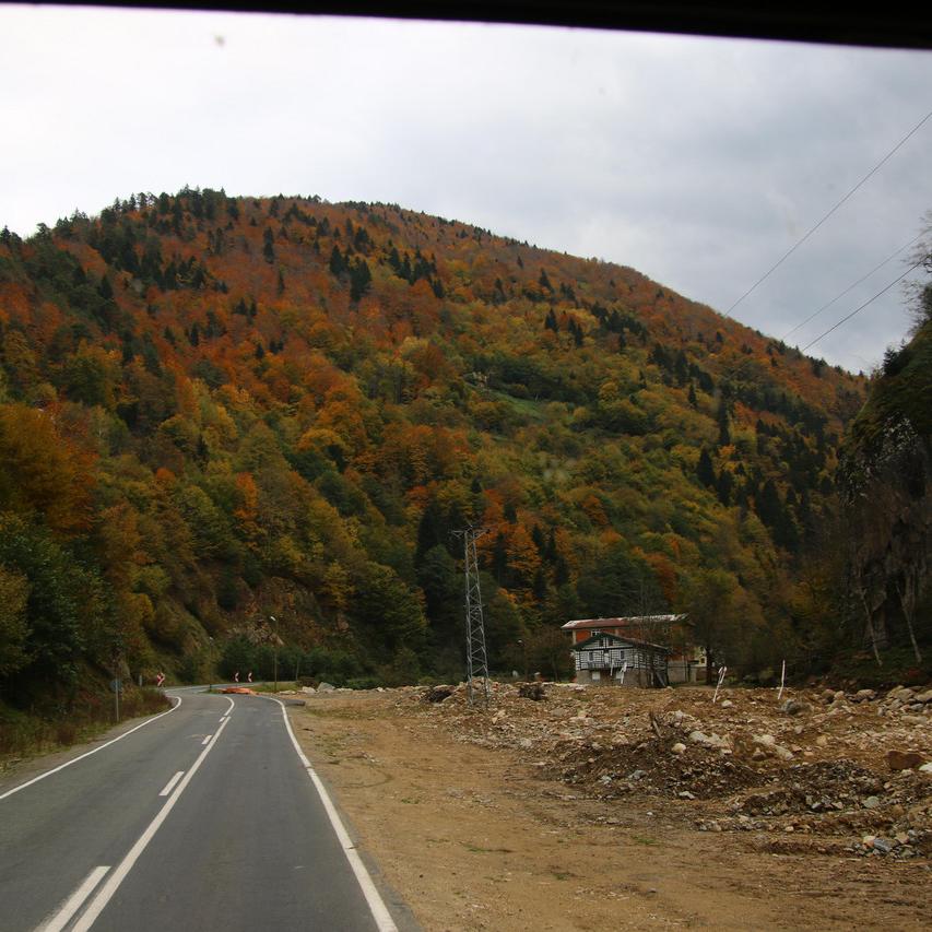 IMG_20211031_141615.jpg