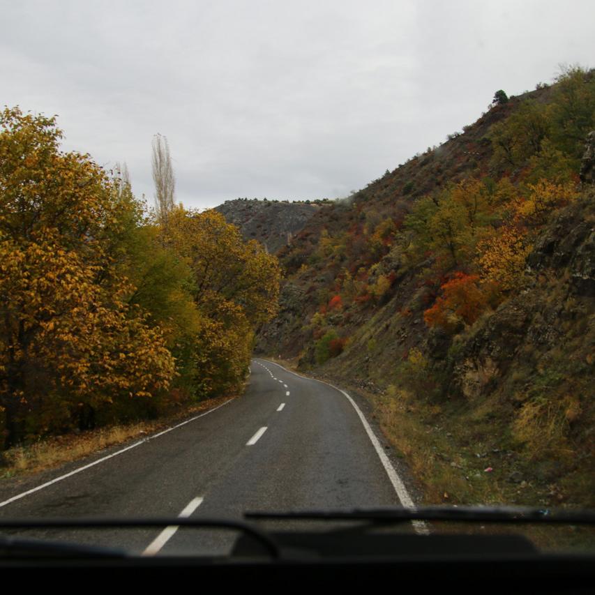 IMG_20211031_160139.jpg