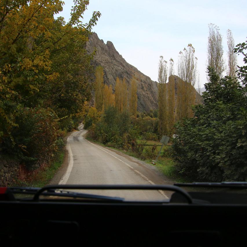 IMG_20211101_135120.jpg