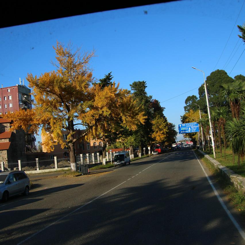 IMG_20211104_152248.jpg