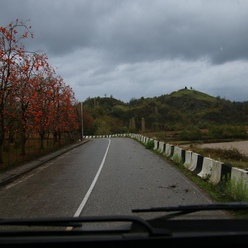 IMG_20211110_152914.jpg