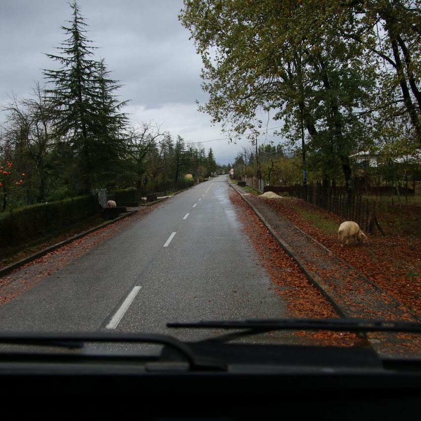 IMG_20211110_153516.jpg