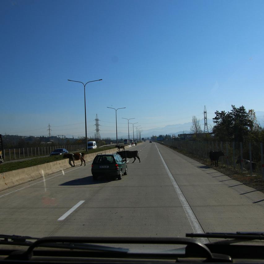 IMG_20211113_115133.jpg
