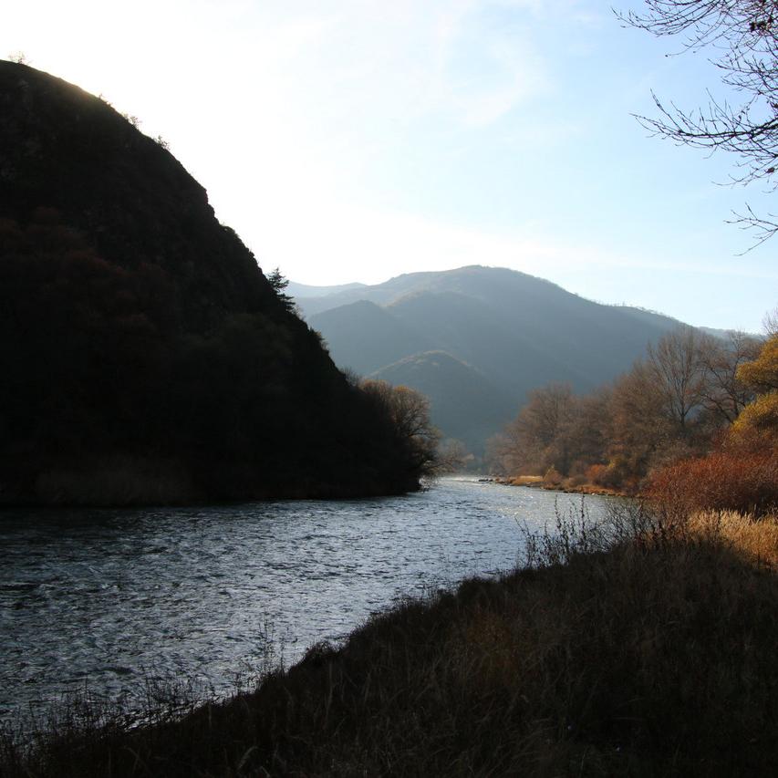 IMG_20211114_143541.jpg