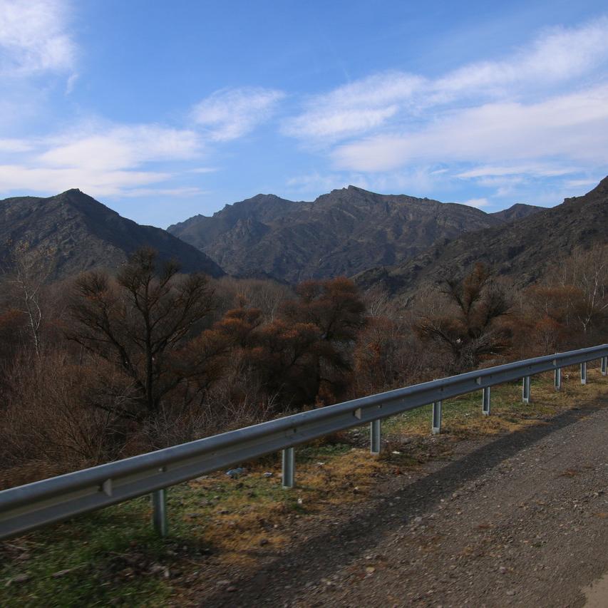 IMG_20211115_115352.jpg