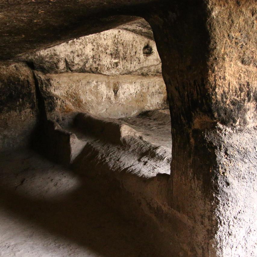 IMG_20211115_131424.jpg