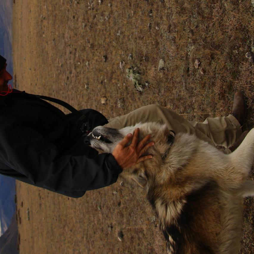 IMG_20211116_094814.jpg