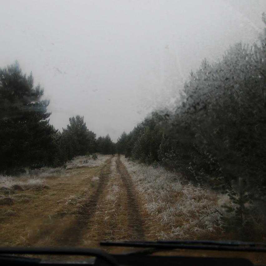 IMG_20211117_120813.jpg
