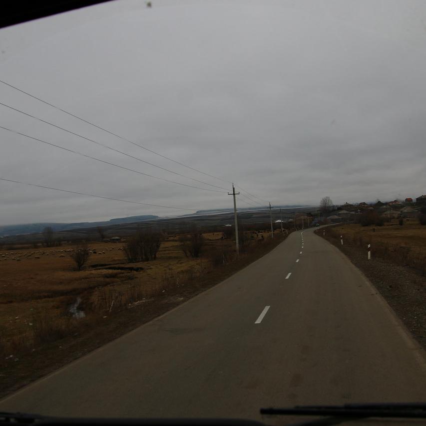IMG_20211117_121750.jpg