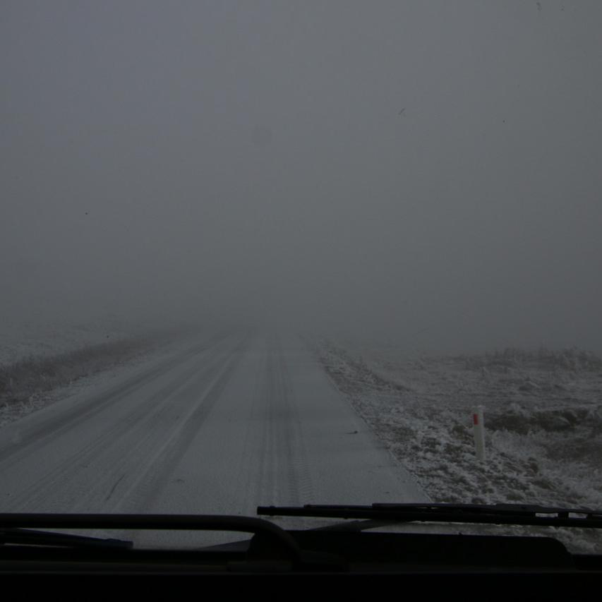 IMG_20211117_151721.jpg