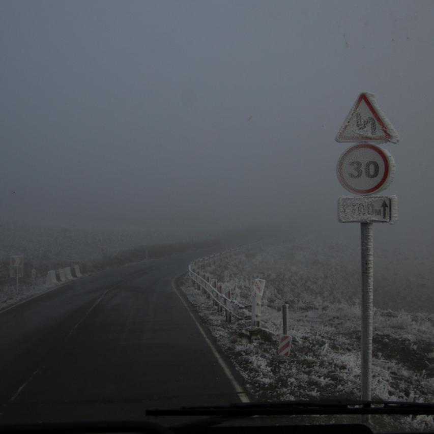 IMG_20211117_152010.jpg