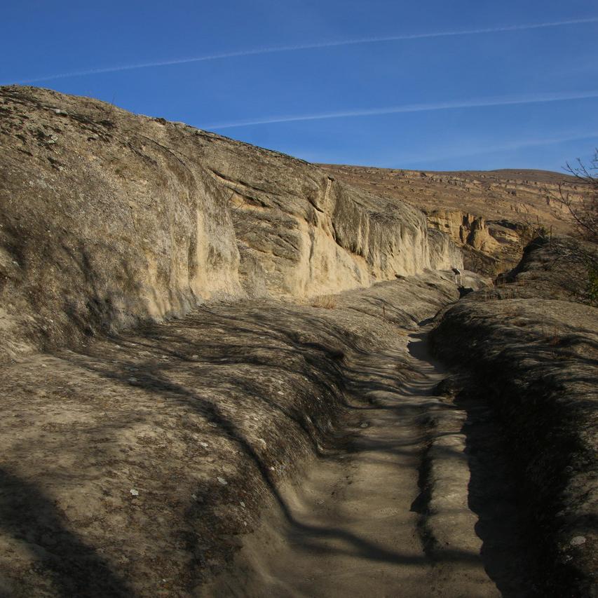 IMG_20211118_112859.jpg