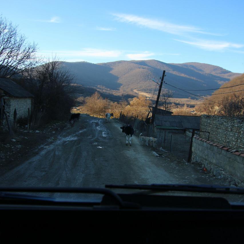IMG_20211203_155806.jpg