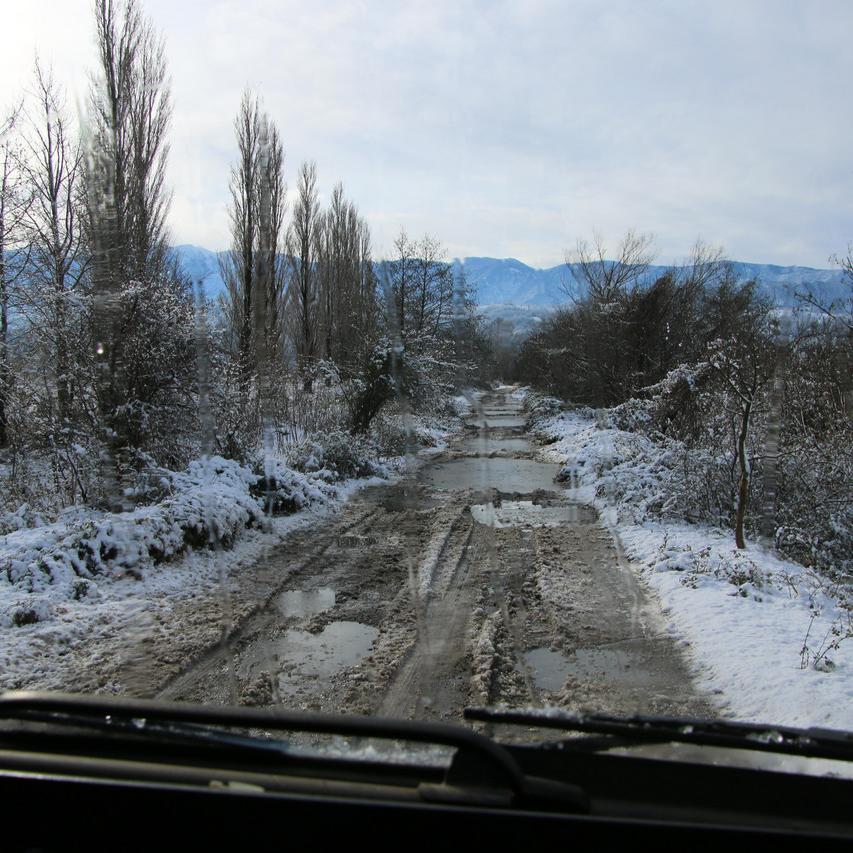 IMG_20211223_112550.jpg