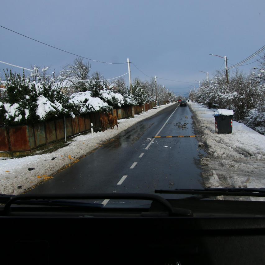 IMG_20211223_120357.jpg