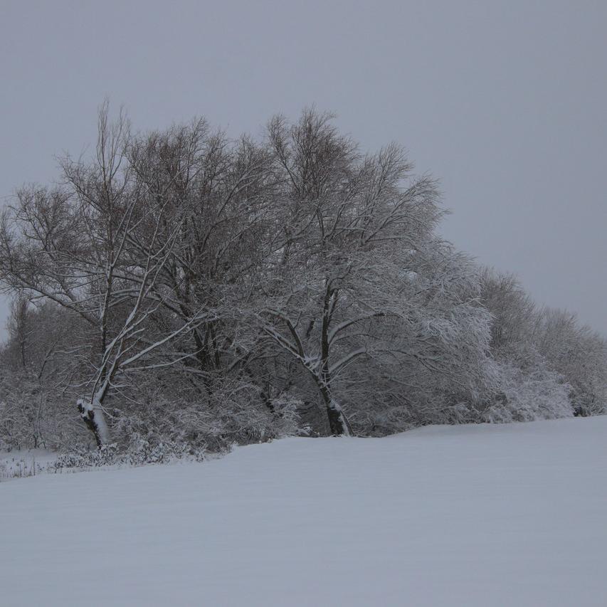 IMG_20220123_100743.jpg