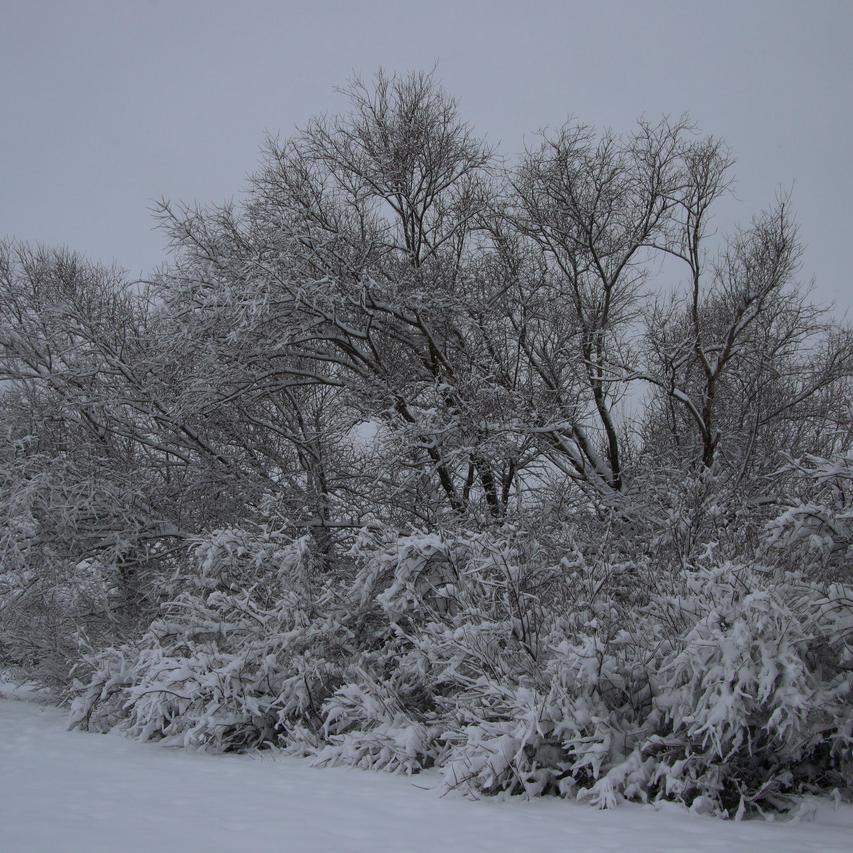 IMG_20220123_101514.jpg