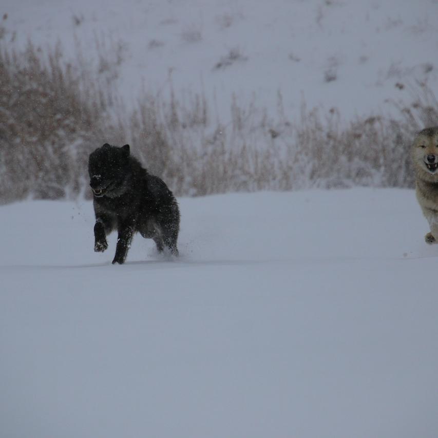 IMG_20220123_101215.jpg