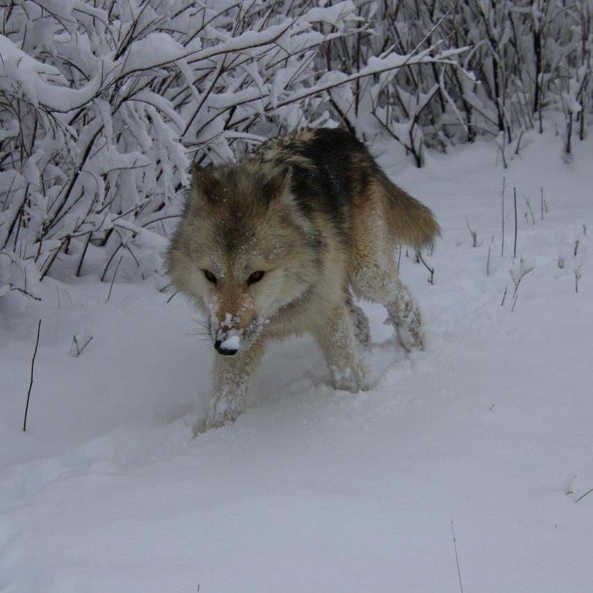 IMG_20220123_102228.jpg